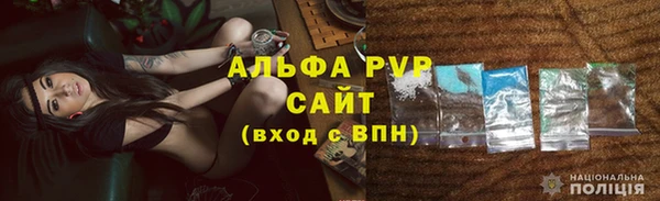 ECSTASY Богородицк