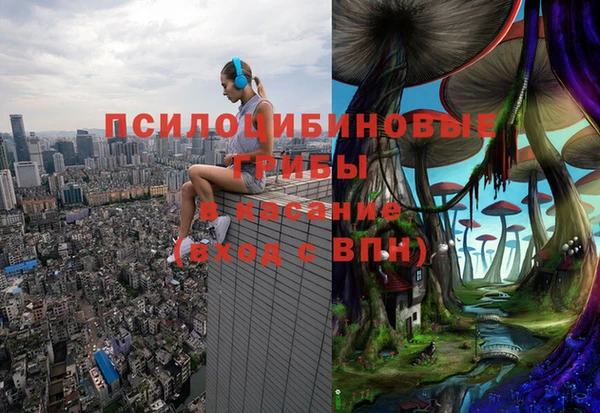 ECSTASY Белокуриха