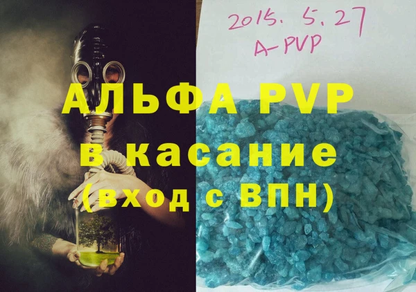 ECSTASY Богородицк
