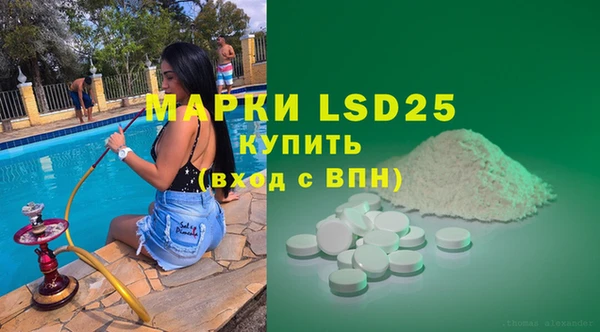 ECSTASY Богородицк