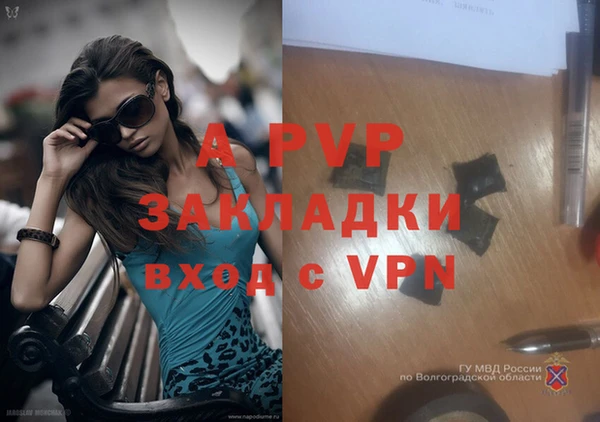 ECSTASY Богородицк