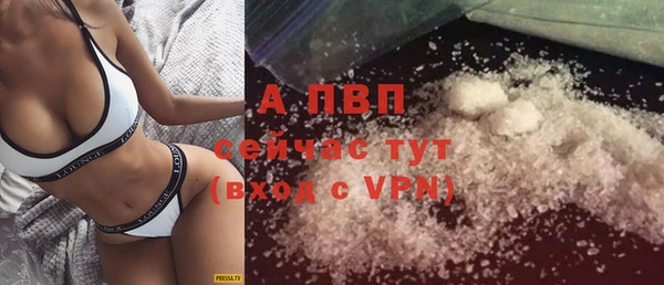 ECSTASY Белокуриха
